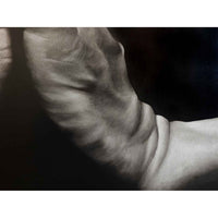 Conveyance 4 48" x 60" - Petroff Gallery - Painting