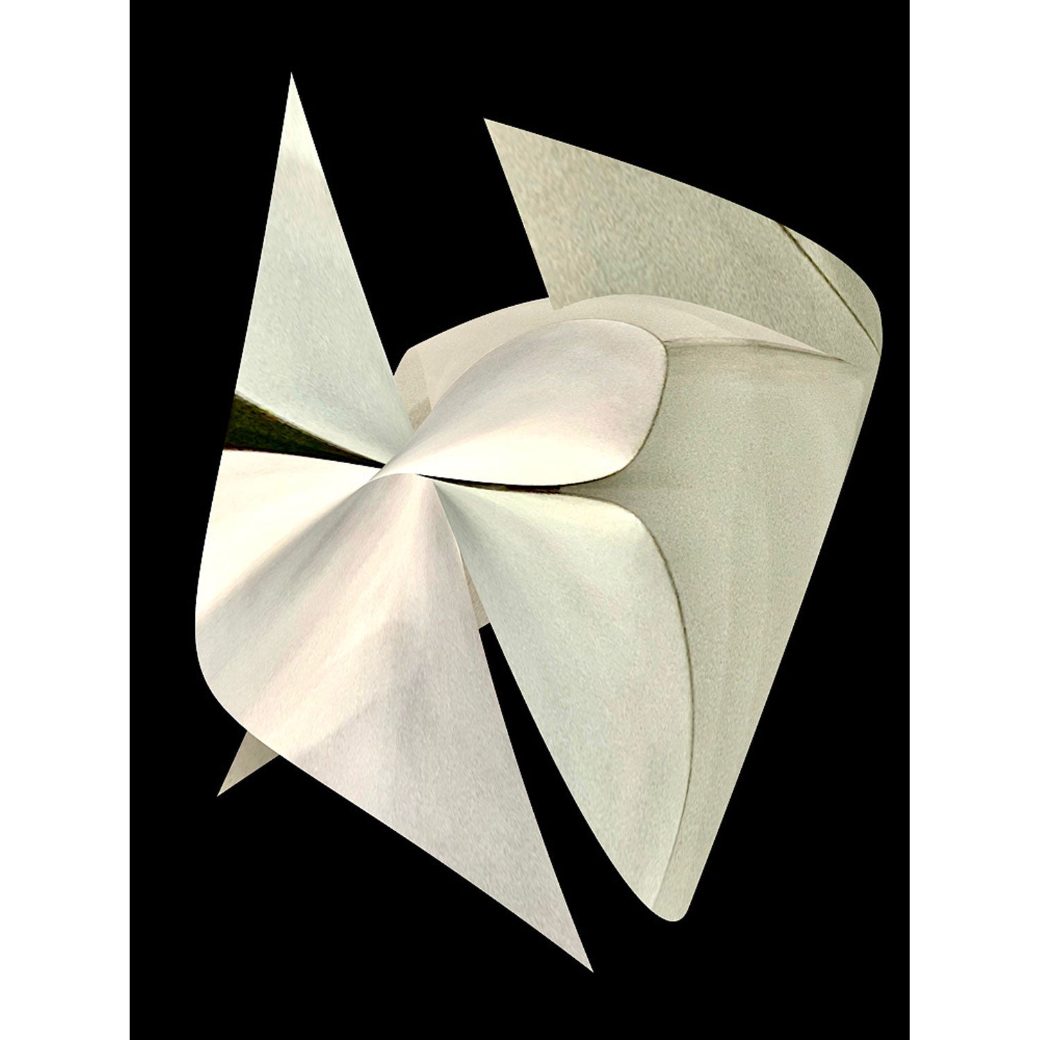 Essence of Being: Folded Whisper 28" x 21" - Petroff Gallery - Photography