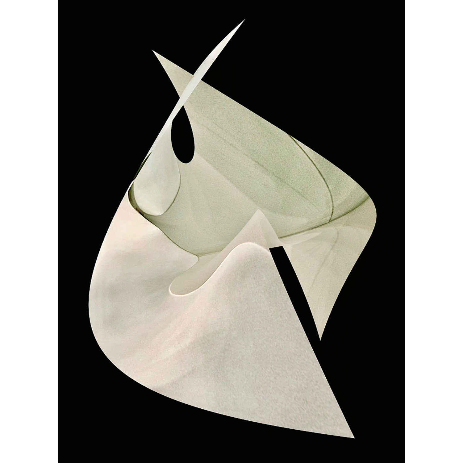 Essence of Being: Glide 28" x 21" - Petroff Gallery - Photography