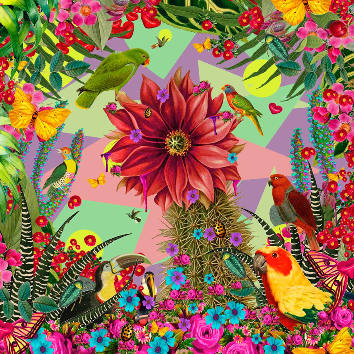 Flower Jungle II 6" x 6" - Petroff Gallery - Photography
