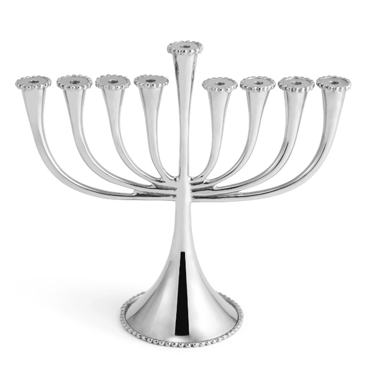 Molten Menorah - Petroff Gallery -  - Michael Aram - Molten Menorah