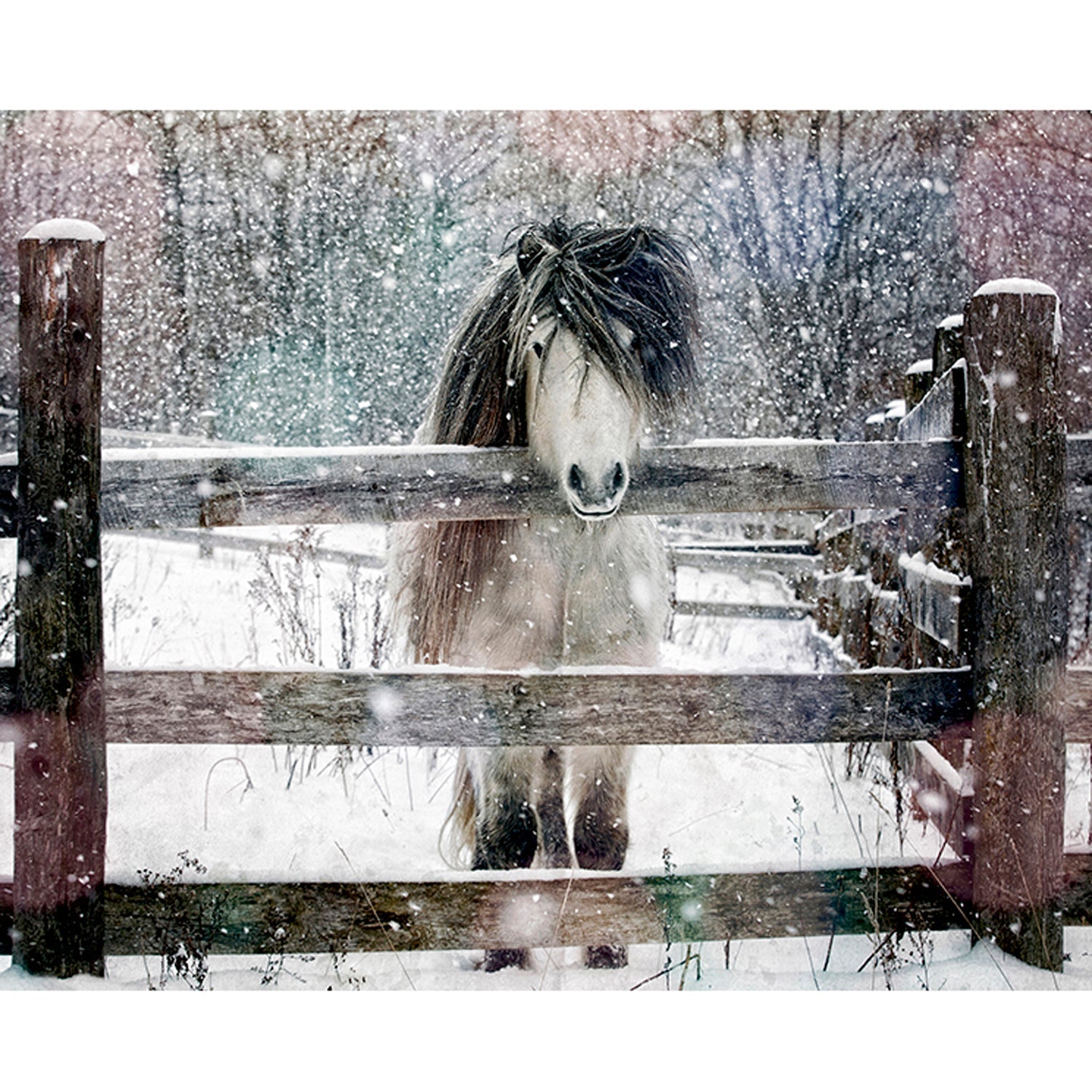 Morning Hair 24" x 36" - Petroff Gallery -  - Morgan Jones - Morning Hair, 24" x 36"