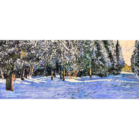 Sunlit Trail Thru Winter 20" x 48" - Petroff Gallery - Painting