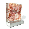 Aurora Pink with Copper Mesh - Petroff Gallery - Glass Art