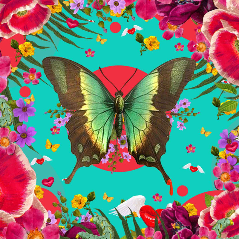 Awakening 8" x 8" - Petroff Gallery - Photography