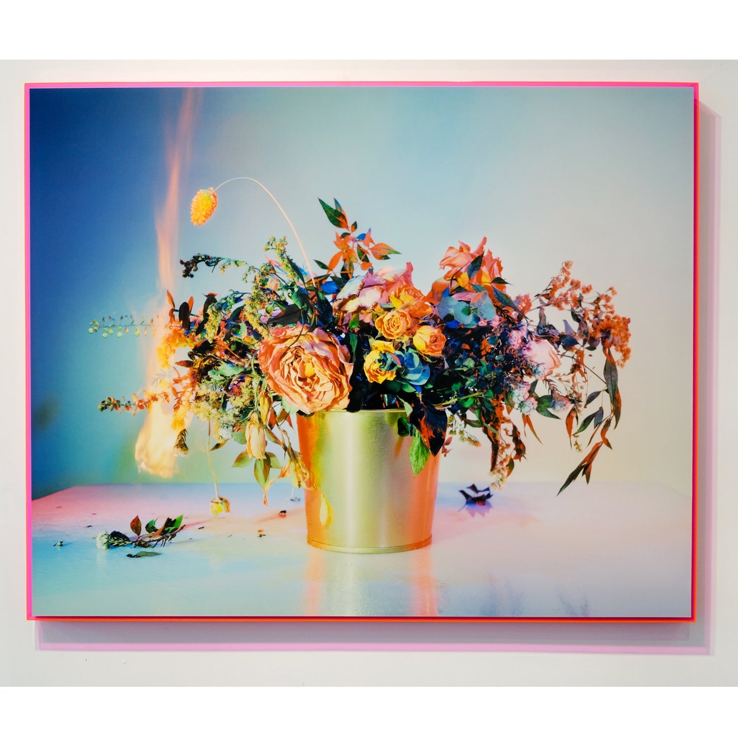 A Shot in the Dark 11 40" x 50" - Petroff Gallery -  - Amanda Arcuri - a shot in the dark