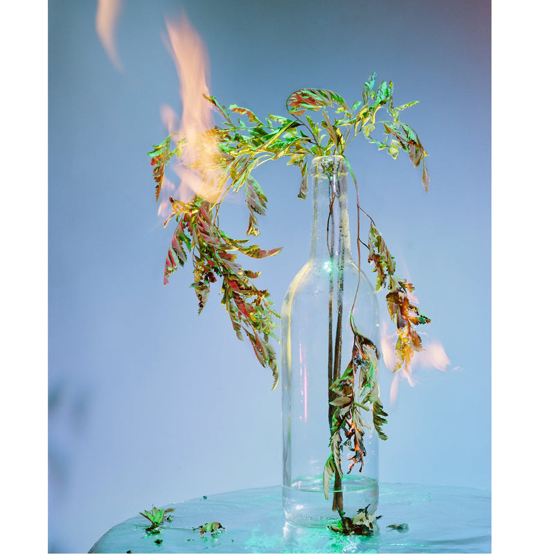 A Shot in the Dark 12, (The Dinner) - Petroff Gallery -  - 