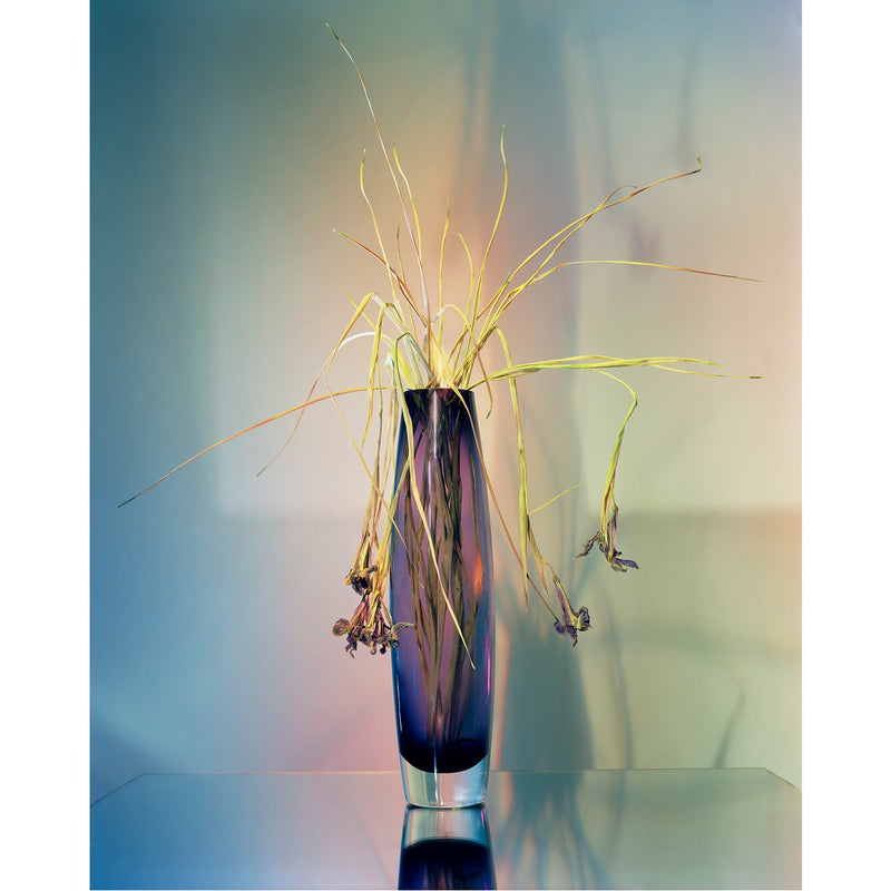 A Shot in the Dark 13, (The Window) - Petroff Gallery -  - 