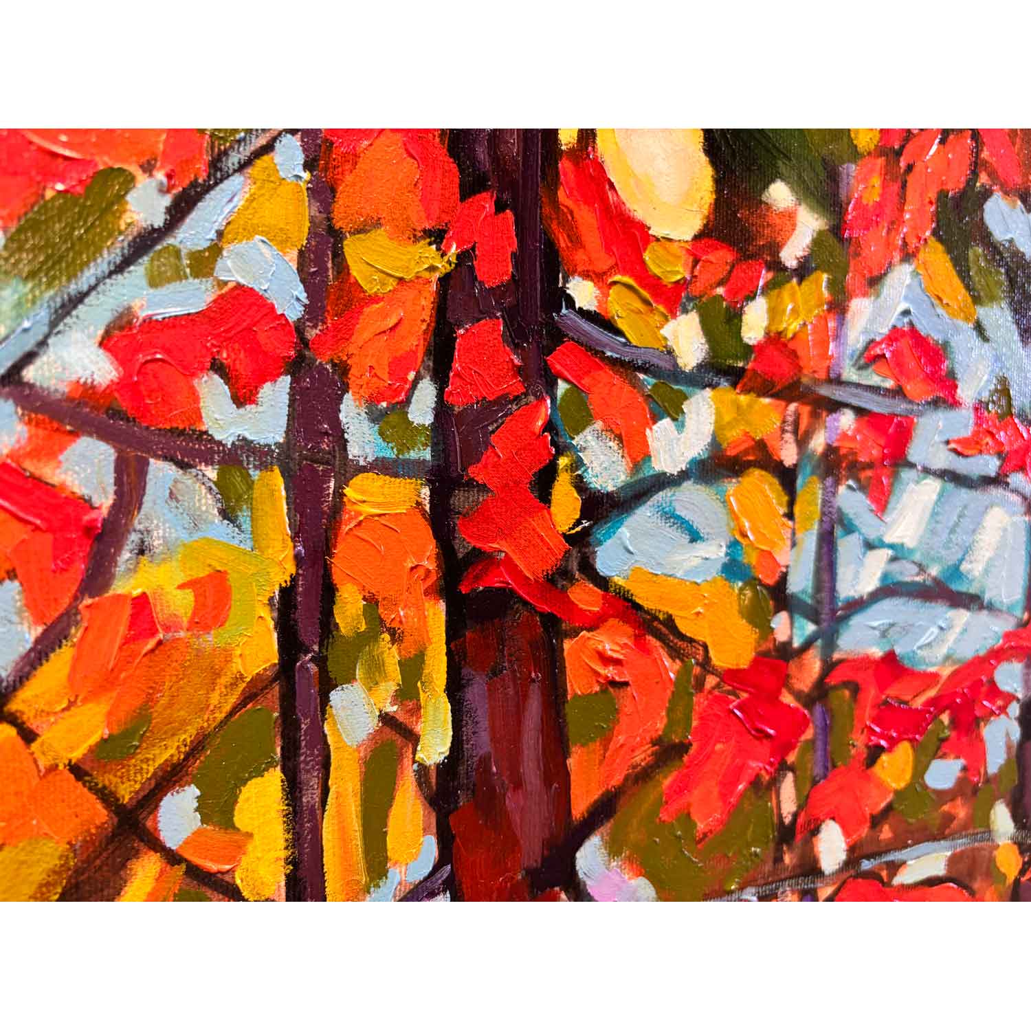 Algonquin Forest 2 36