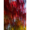 Autumn Orange #44  43" x 32" - Petroff Gallery -  - Warren Grossman - Autumn Orange #44 48 x 32