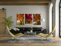 Autumn Orange #44  43" x 32" - Petroff Gallery -  - Warren Grossman - Autumn Orange #44 48 x 32