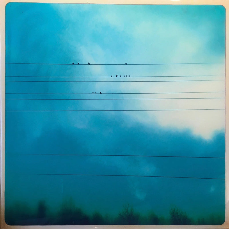 Birds on a Wire 12x12 - Petroff Gallery