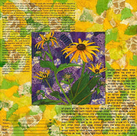 Black Eyed Susan Collage - Petroff Gallery