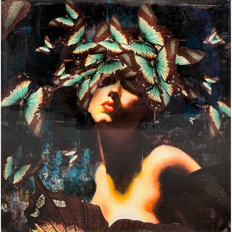 Butterfly Brain 6" x 6" - Petroff Gallery - Photography