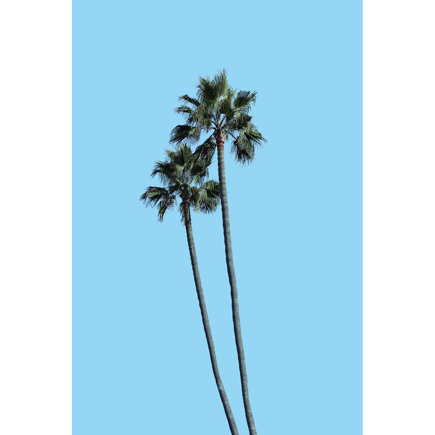 Candy Blue 30" x 20" - Petroff Gallery -  - Michael Toole - Candy Blue, 30" x 20"