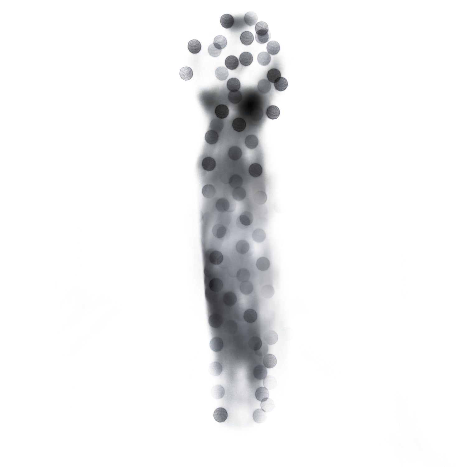 Celebrate the Stillness - Petroff Gallery -  - Tash Damjanovic - celebrate stillness