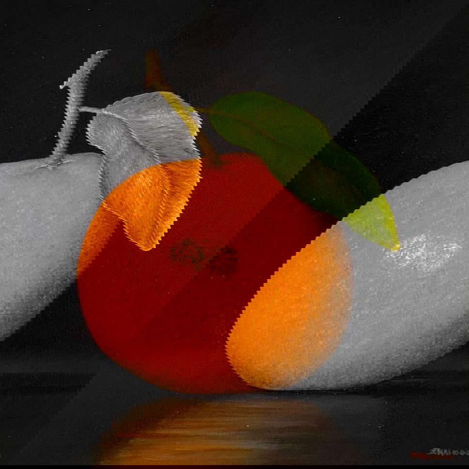 Clementine 12" x 12" - Petroff Gallery -  - Joanne Helman -clementine