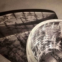 Coniferous Bowl - Petroff Gallery -  - Becky Lauzon - Coniferous Bowl