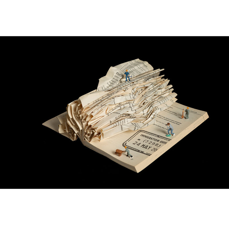 Documenting the Process 12" x 18" - Petroff Gallery - Photography