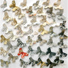 Course Correction 16" x 16" Petroff Gallery 