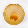 Aurora Yellow Orb 9" - Petroff Gallery - Glass Art