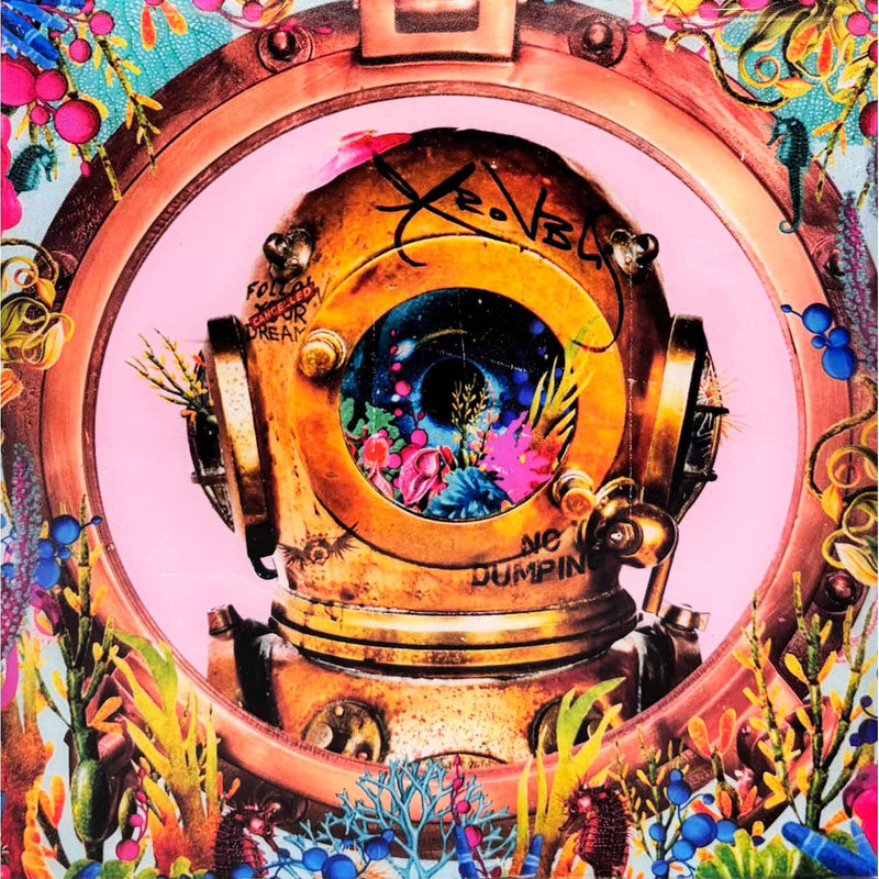 Diver: Pink & Blue 6" x 6" - Petroff Gallery - Photography