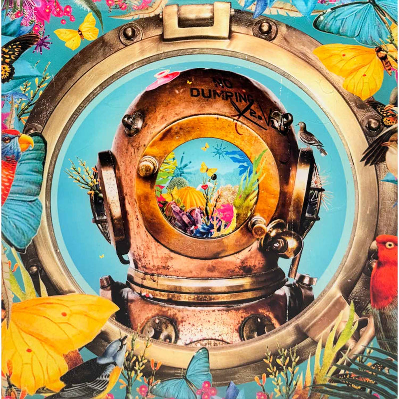 Diver's Fantasy 6" x 6" - Petroff Gallery - Photography