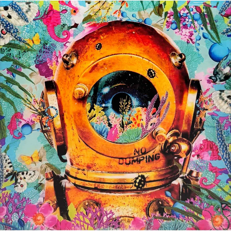 Diver's Paradise 6" x 6" - Petroff Gallery - Photography