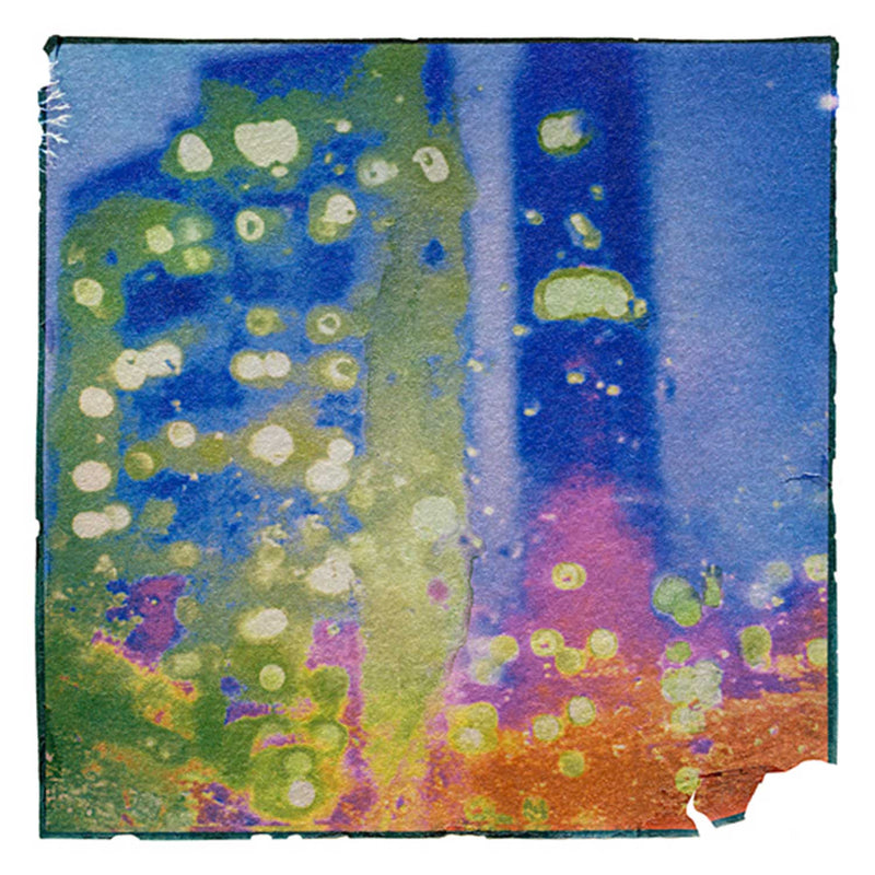 Dreamlight Drift 10" x 10" Petroff Gallery