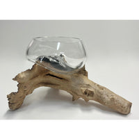 Driftwood Bowl 7 - Petroff Gallery - Glass Art