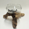 Driftwood Bowl 7 - Petroff Gallery - Glass Art