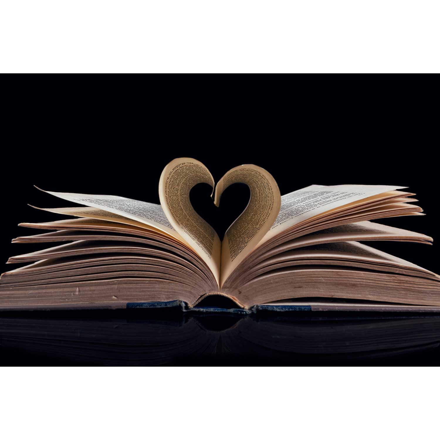 I Heart Books 12" x 18" - Petroff Gallery - Photography