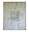 Eco - Petroff Gallery -  - 