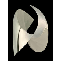 Essence of Being II: Veil Curve 28" x 21" - Petroff Gallery - Photography