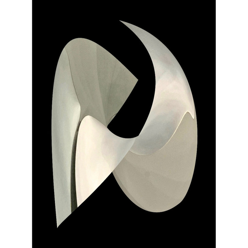 Essence of Being II: Veil Curve 28" x 21" - Petroff Gallery - Photography