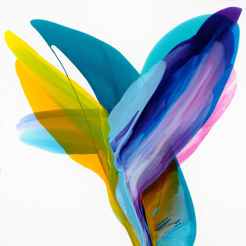 Ever Evolving Love Story 51.75" x 51.75" - Petroff Gallery -  - Brooke Palmer - Ever Evolving Love Story, 51.75" x 51.75"