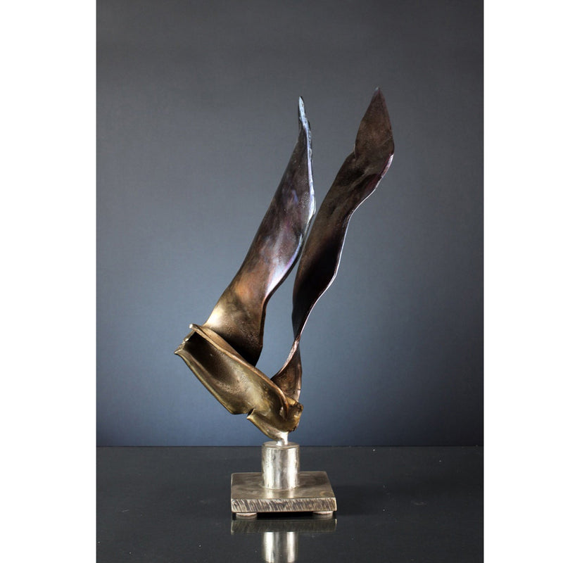 Flight - Petroff Gallery -  - Robert Buick - Flight
