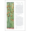 Greener - Petroff Gallery -  - 