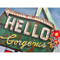 Hello Gorgeous 36" x 48" - Petroff Gallery - Painting