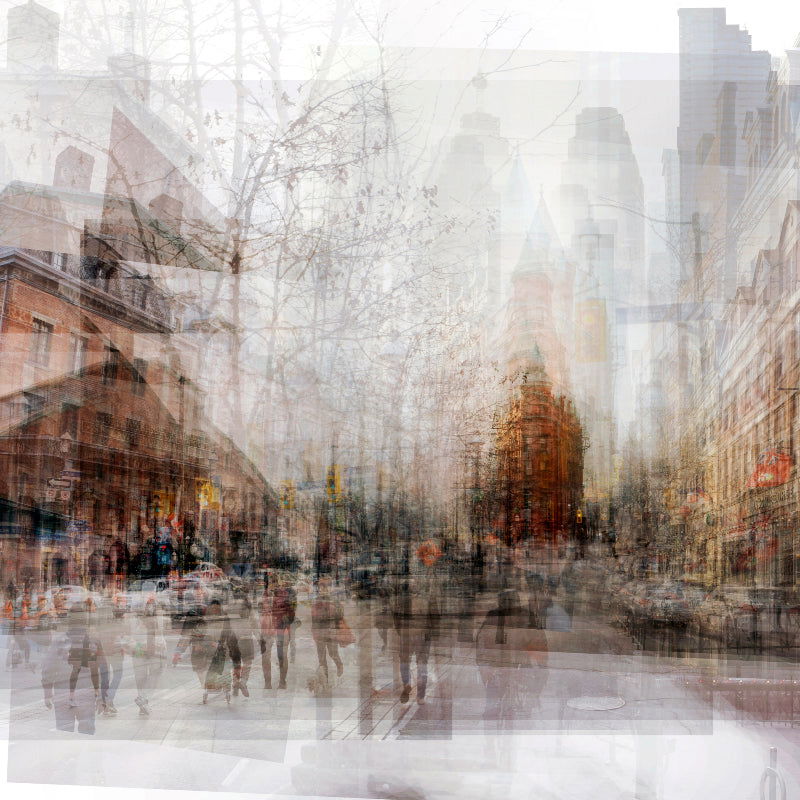 Jarvis at Front  33" x 33" - Petroff Gallery -  - 