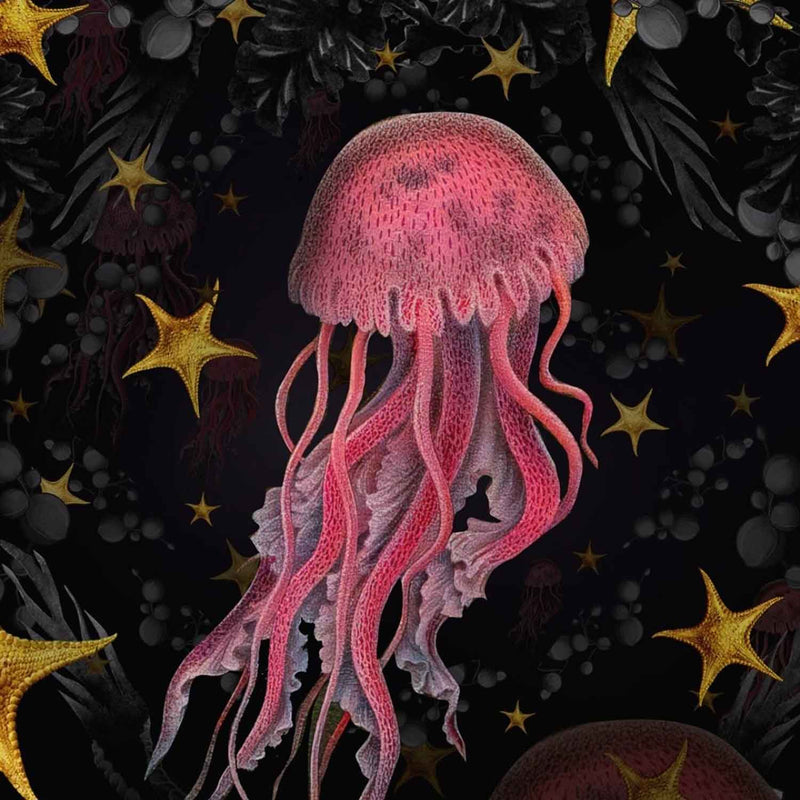 Jellyfish 10" x 10" - Petroff Gallery - Photography