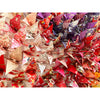 Journey Within IX 36" x 36" - Petroff Gallery -  - Andrew Wang - Journey Within IX, 36" x 36"