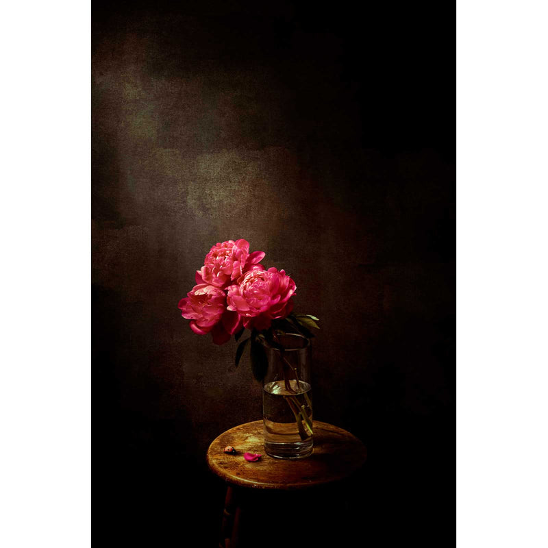 Lady Bug - Petroff Gallery - photography 