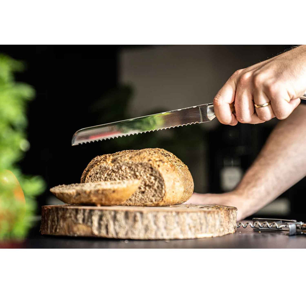 Olivewood Challah Knife Cutting Bread Petroff Gallery 