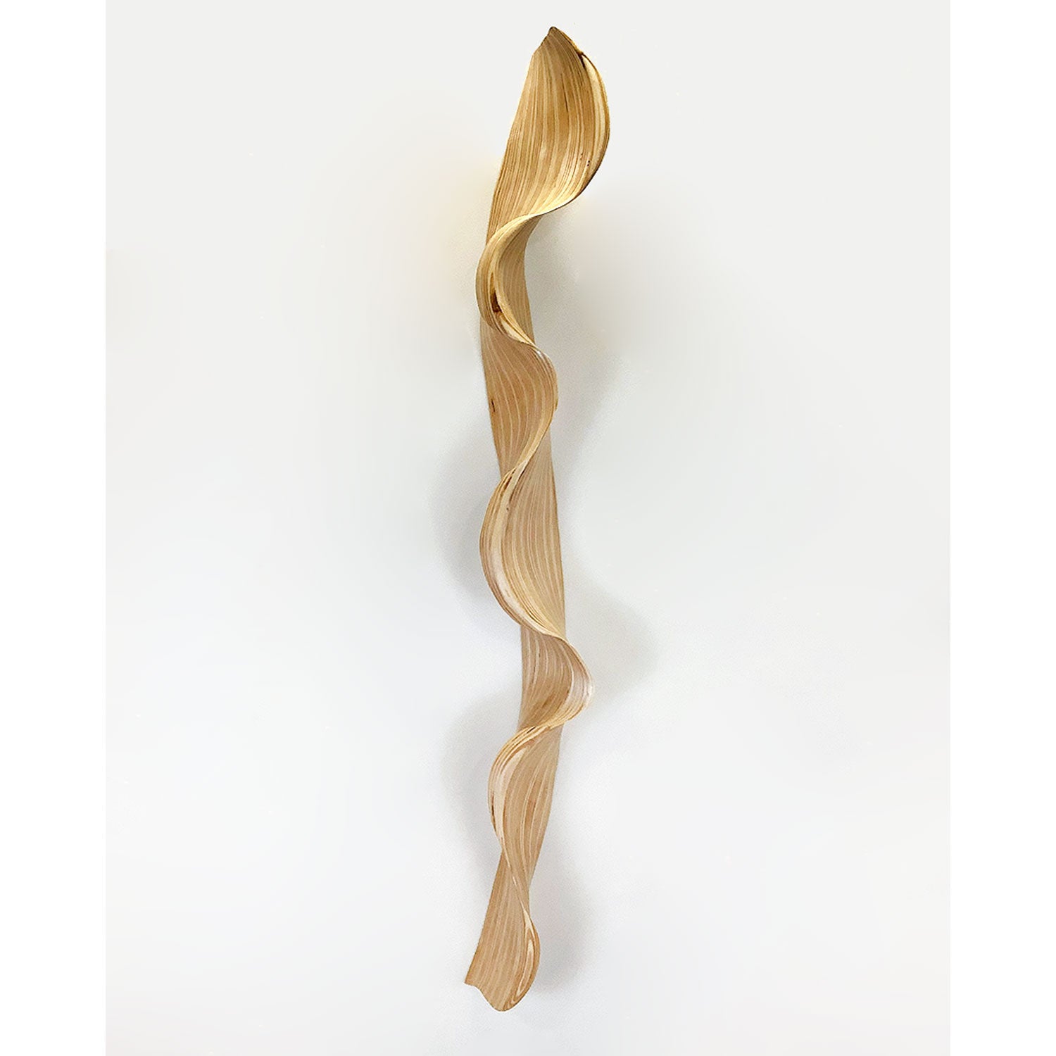 Lentostrato - Petroff Gallery - Sculpture