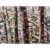 Listen to the Quiet 30" x 48" - Petroff Gallery - Painting