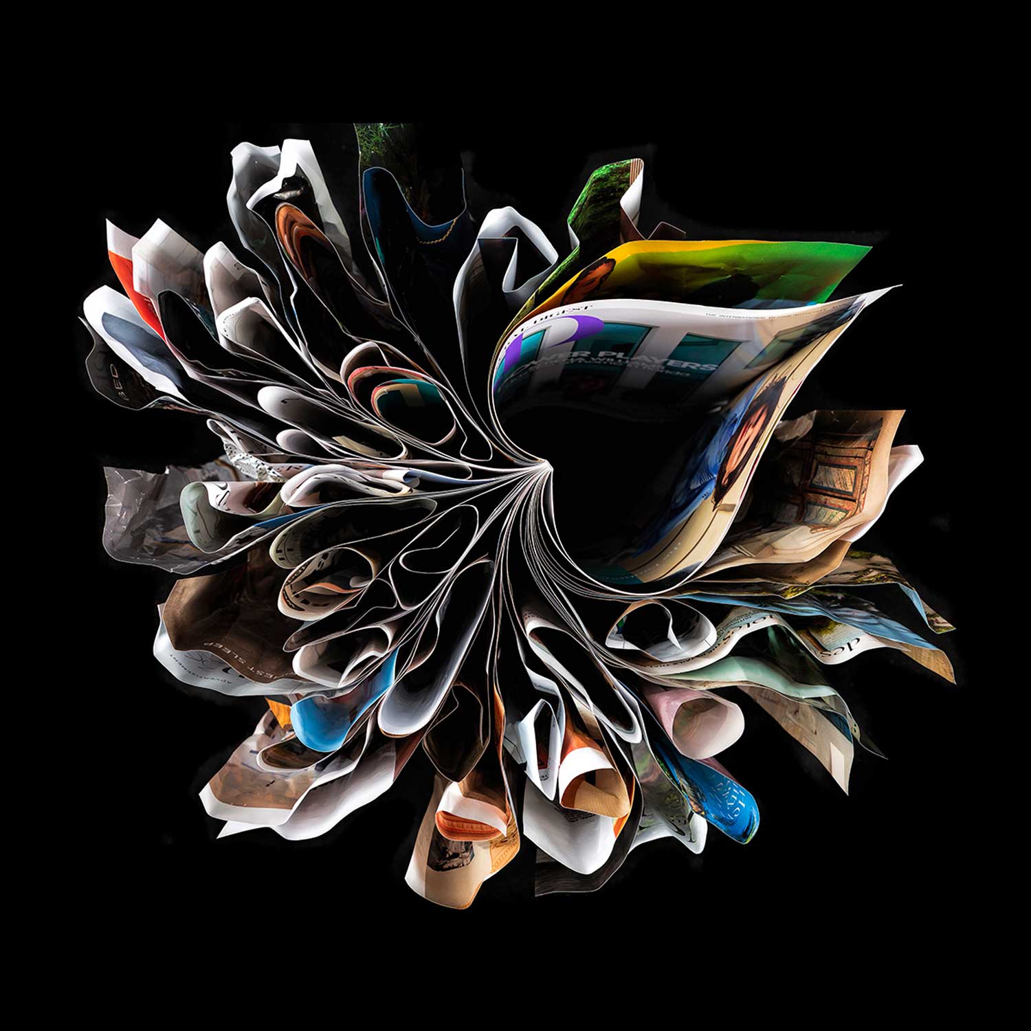 Morphed 36" x 36" - Petroff Gallery -  - Edith Levy - Morphed, 24" x 24"