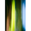 Muskoka Summer #4 63" x 42" - Petroff Gallery -  - Warren Grossman - Muskoka Summer #4