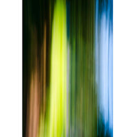 Muskoka Summer #4 63" x 42" - Petroff Gallery -  - Warren Grossman - Muskoka Summer #4