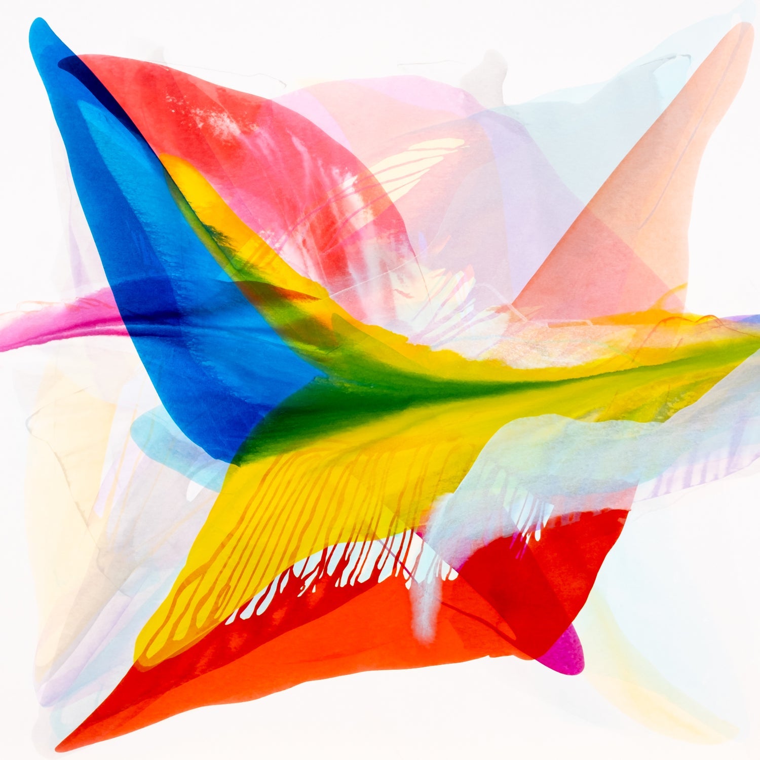 Nearing Heaven 57" x 57" - Petroff Gallery -  - Brooke Palmer-Nearing Heaven 57" x 57"